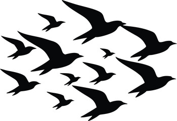 Flock of flying birds silhouette, Flying birds silhouettes on white background