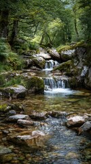 Calm Little Falls On A Winding Stream