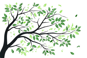 Decorative Tree with Green Leaves Vector Set