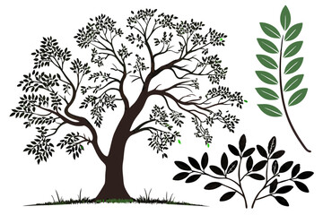 Botanical Tree and Leaf Clipart Bundle