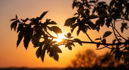 Silhouetted Autumn Leaves Against a Golden Sunset Sky Creating a Warm and Serene Atmosphere