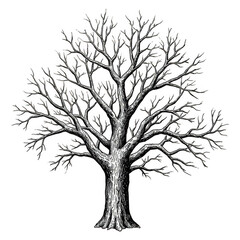 Obraz premium Abstract Illustration Tree with Silhouette Branches Isolated on Transparent