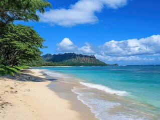 Tropical beach scene with mountain backdrop