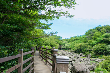 제주도 제주시 한라산 1,100도로 휴개소 생태습지