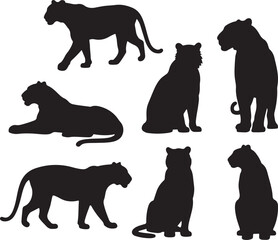 Tiger in Various Poses A Striking Silhouette Illustration