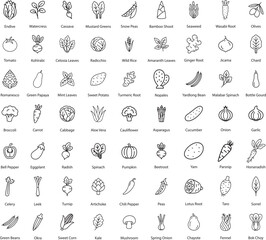 Vegetables Line Icons Vector Illustration Isolated on White Background.