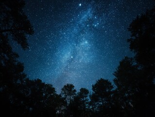 The Summer Triangle Stars Above a Quiet Backyard Wood