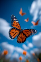 Obraz premium Monarch butterfly in flight against a vibrant sky