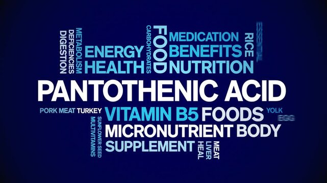 Pantothenic Acid Vitamin B5 animated word cloud;text design animation tag kinetic typography seamless loop.