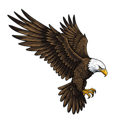Fototapeta premium Illustration Of Eagle Flying With Open Wing Isolated Transparent