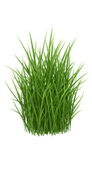 Obraz premium Illustration of Fresh Green Grass Isolated Plant Lawn in Summer