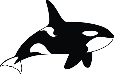 Orca Whale Vector Illustration in Flat Style