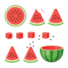 watermelon vector illustration