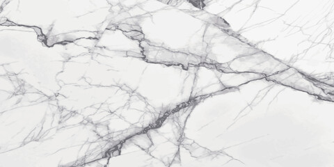 Obraz premium white carrara statuario marble texture background, calacatta glossy marble with grey streaks, satvario tiles, banco superwhite, ittalian blanco catedra stone texture for digital wall and floor tiles.