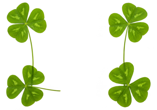 Isolated Background With Pair of Green Clover Shamrock Arrangement - Powered by Adobe