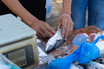 Close-up of hands filleting fresh fish at outdoor market, seafood concept