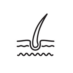 Hair Follicle Anatomy Icon - Hair Growth and Skin Layers