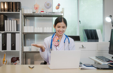 A young Asian female doctor works alone at her desk, reviewing kidney-related medical data. files...