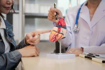 A young Asian female doctor consults with a patient seated across the desk. Using a heart model,...