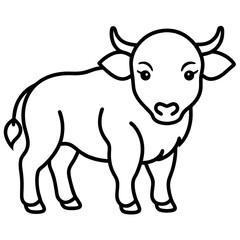Buffalo on white background