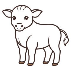 Buffalo on white background