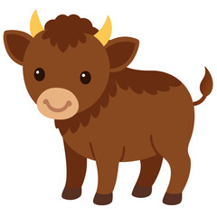 Buffalo on white background