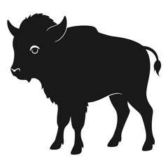 Buffalo on white background
