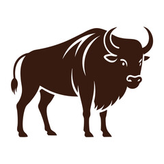 Buffalo on white background