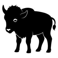 Buffalo on white background