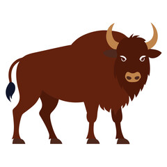 Buffalo on white background