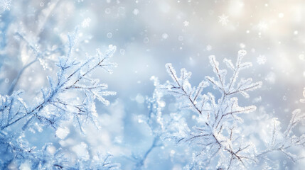 snow covered branches