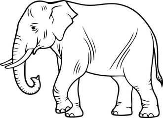 Elephant outline vector illustration coloring book page line art
