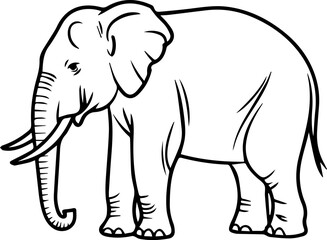 Elephant outline vector illustration coloring book page line art