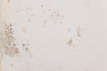 Close Up Of White Wall With Scattered Dark Mold Spots And Mildew