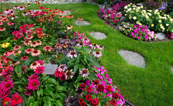 flowers in the garden