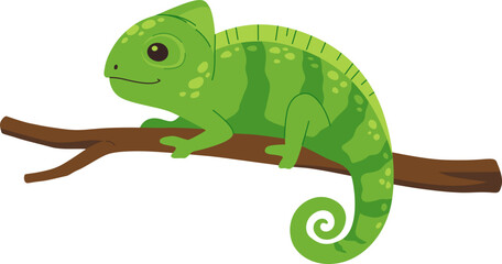 Green Chameleon Resting on a Branch

