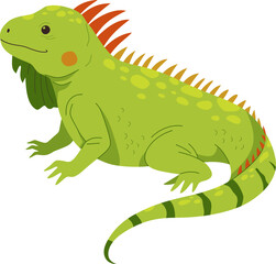 Spiky-Backed Iguana Resting on Ground

