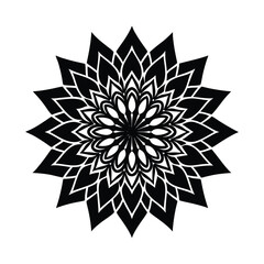 abstract snowflake vector