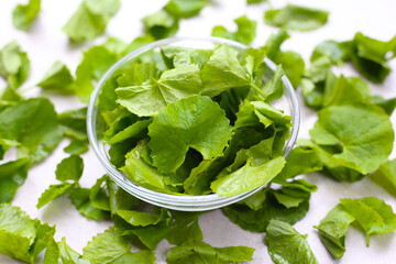 Gotu kola, fresh green leaves known for their medicinal properties in boosting memory and promoting healthy skin.