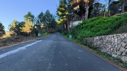 A tranquil winding road with lush trees and vibrant bushes, perfect for nature lovers and scenic trips