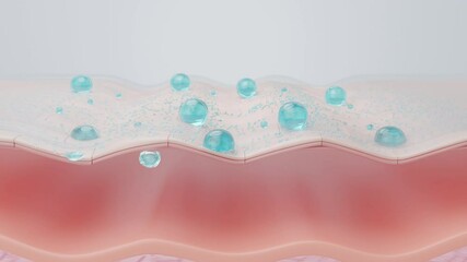 Hyaluronic acid molecules hydrating multi-layered dry skin 3D animation
