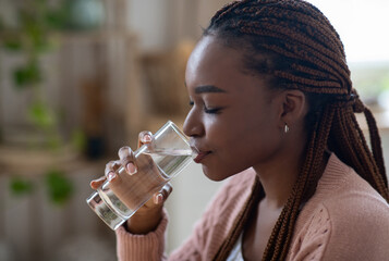 Young African American Female Drinking Clean Mineral Water From Glass At Home, Healthy Beverage,...