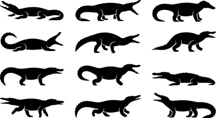 Collection of twelve diverse crocodile and alligator poses silhouette