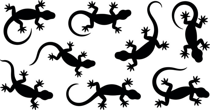 Collection of seven stylized black gecko silhouettes in various poses