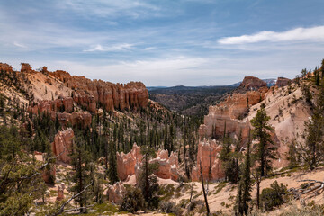 Swamp Canyon Overlook, Bryce Canyon National Park, Utah. Claron Formation, (Tcp) Pink member;...