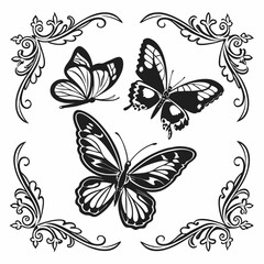 Framed Wings of Grace vector
