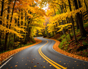 Autumn Road Trip Winding Road Through Golden Forest
