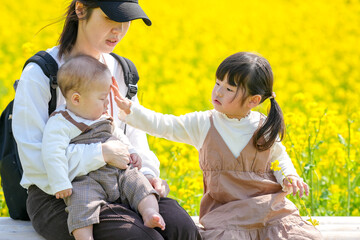 Japanese mother in her 30s sits on a bench in a countryside field of blooming rapeseed flowers,...