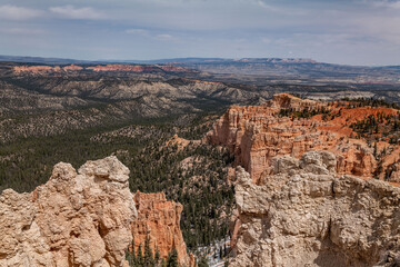 Rainbow Point, Bryce Canyon National Park, Utah. Claron Formation, White limestone member, (Tcp)...