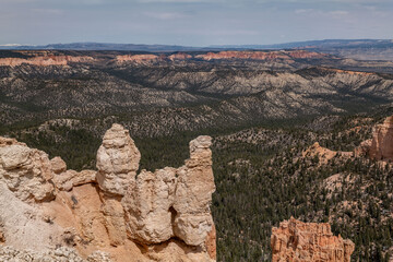 Rainbow Point, Bryce Canyon National Park, Utah. Claron Formation, White limestone member, (Tcp)...